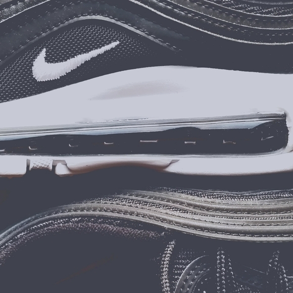 nocturnal animal air max